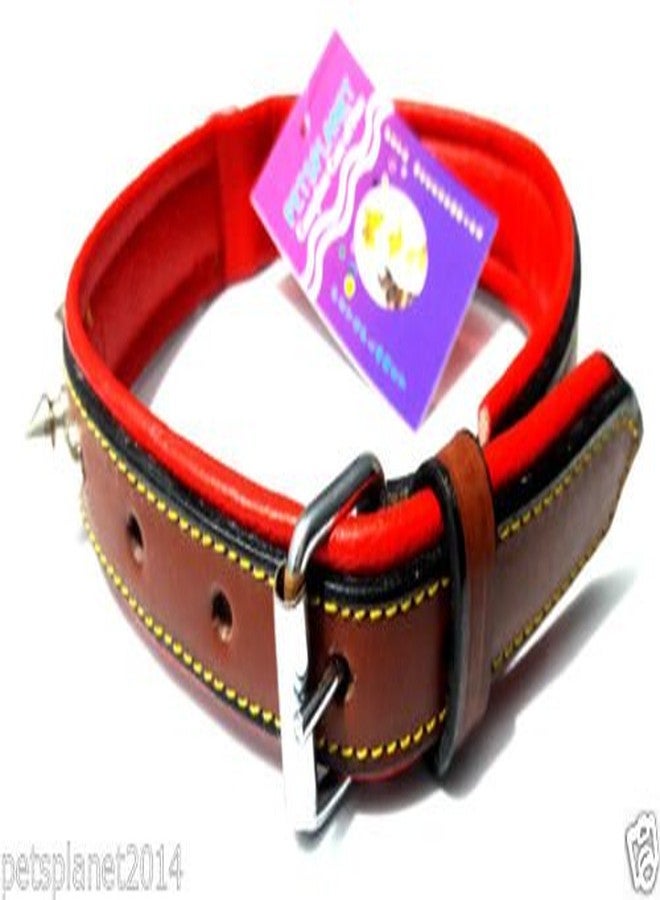 Ocean Wave Petsplanet PU Dog Collar with Soft Red Pad - Small & Medium Size Dogs 1" - Image 2